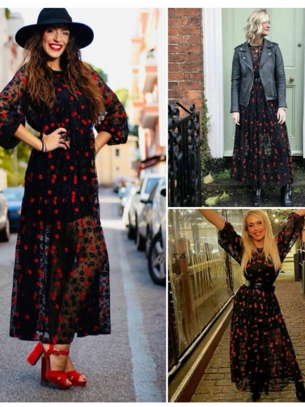 Zara Black Floral Sheer Maxi Dress with embroidery